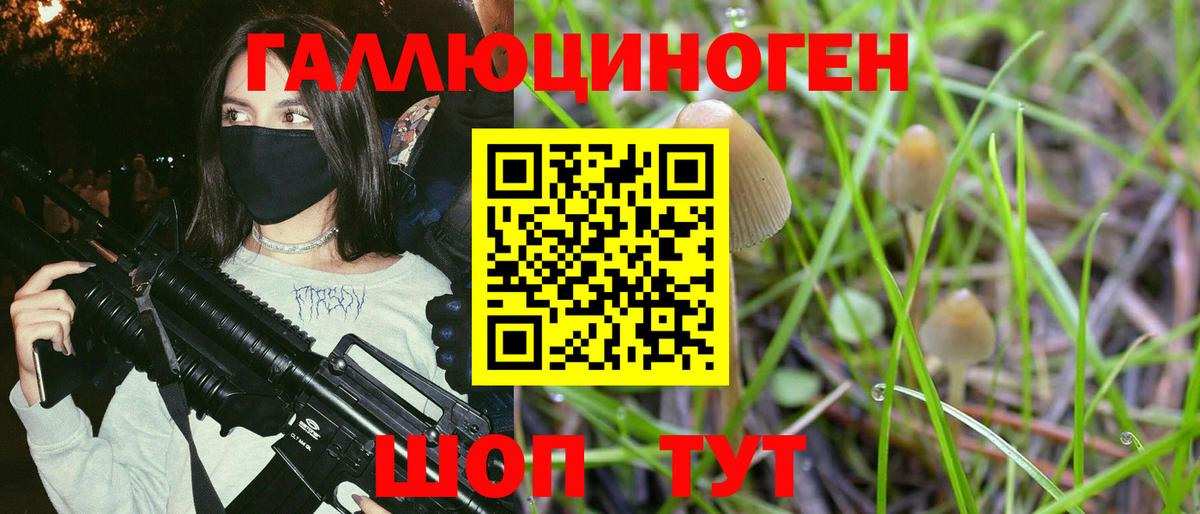 Галлюциногенные грибы мухоморы  Псилоцибиновые грибы GOLDEN TEACHER  Киселёвск  где купить наркоту  Вход с VPN 